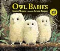 Owl Babies