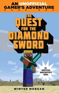 The quest fot the diamond sword