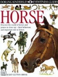 Image of Eyewitness Guides #33 : Horse