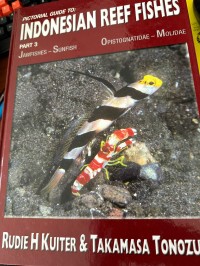 Indonesian Reef Fishes Part 3