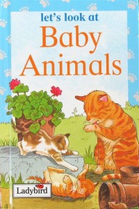 (let's look at) Baby Animals