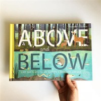 Above and Below Lift the flaps to see nature's wonders unfold