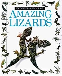 Amazing lizards