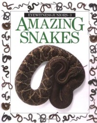 Amazing Worlds: Amazing Snakes