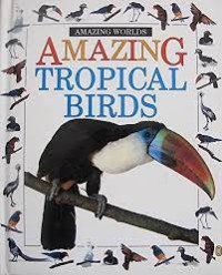 Amazing worlds: amazing tropical birds