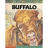 Animal Lore & Legend: Buffalo