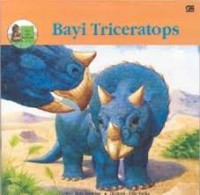 Bayi Triceratops