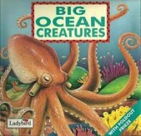 Big Ocean Creatures