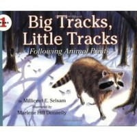 Big Tracks, Little Tracks Following Animal Prints