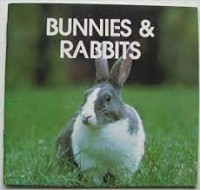 Bunnies & Rabbits