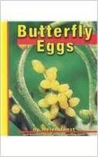 Butterfly Eggs