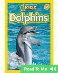 Dolphins