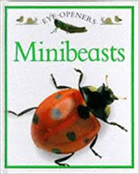 Eye Openers: Minibeasts