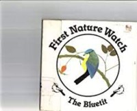 First Nature Watch: The Bluetit