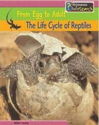 From Egg to Adult: The Life Cycle of Reptiles