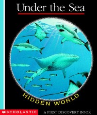 Hidden world Under the sea