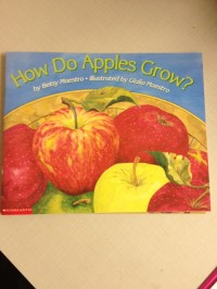 How Do Apples Grow?