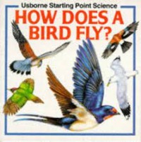 How Does A Bird Fly?