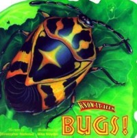 Know-It-Alls: Bugs!