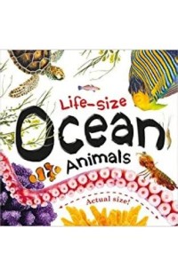 Life-size: Ocean Animals