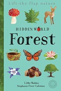 Lift-the-flap nature Hidden world Forest