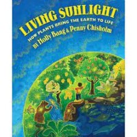 Living Sunlight How Plants Bring The Earth To Life