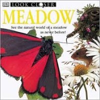 Look Closer: Meadow