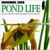 Look Closer: Pond Life