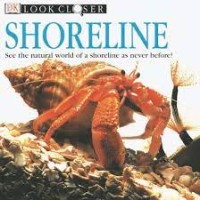 Look Closer: Shoreline