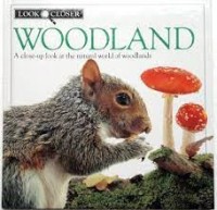 Look Closer : Woodland