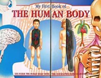 My first book of the human body