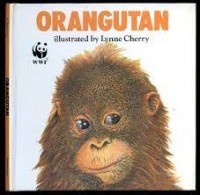 Orangutan