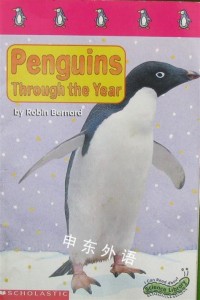 Penguins Through the Year