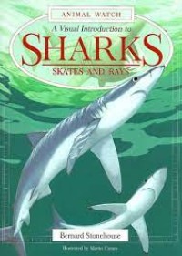 Sharks Skates And Rays