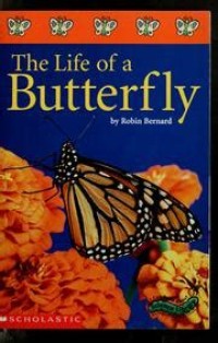 The life of a butterfly