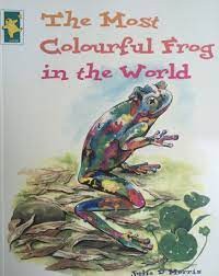 The most colourful frog in the world