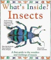 What's Inside? Insects