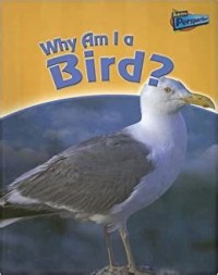 Why Am I A Bird?