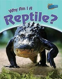 Why Am I A Reptile?