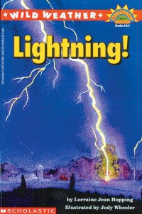 Wild Weather : Lightning!