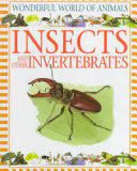 Insects And Other Invertebrates