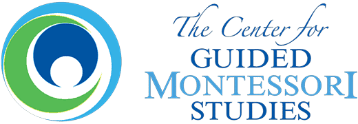 CGMS-logo-04 1