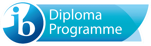dp-programme-logo-en 1